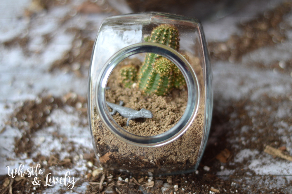 Treat Jar Terrarium: Using a few supplies, turn a treat jar into a pretty terrarium, complete with "wildlife." Succulents are a perfect beginner plant! 