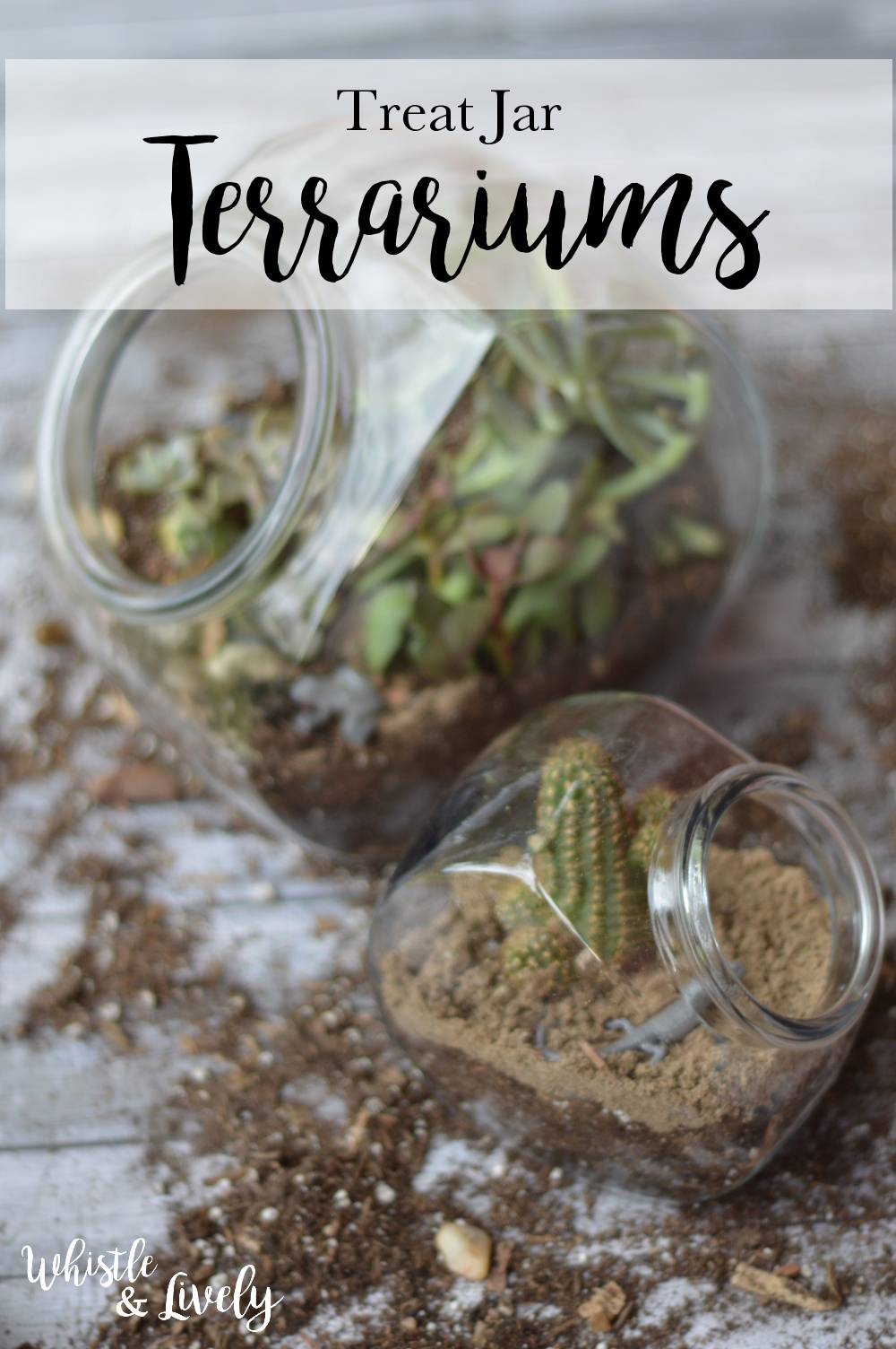 Treat Jar Terrarium: Using a few supplies, turn a treat jar into a pretty terrarium, complete with "wildlife." Succulents are a perfect beginner plant! 