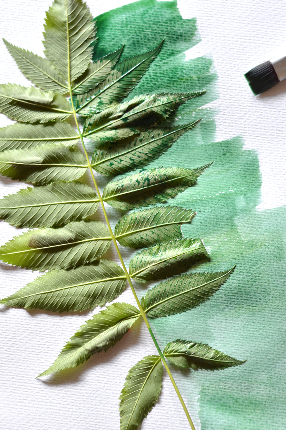 Watercolor Leaf Prints - Whistle and Lively