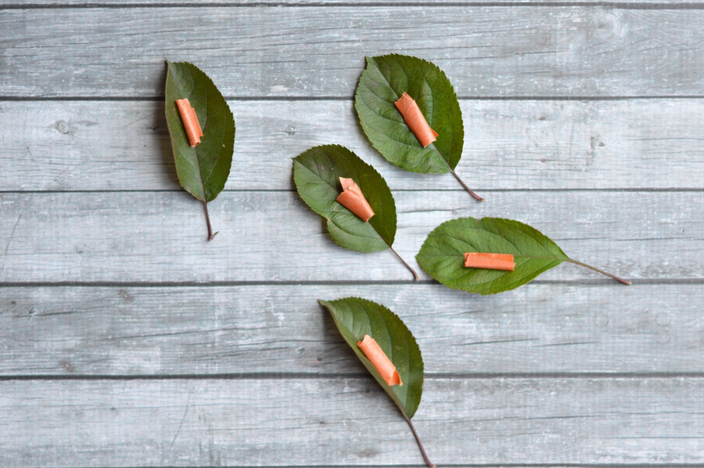 Watercolor Leaf Prints - Whistle and Lively