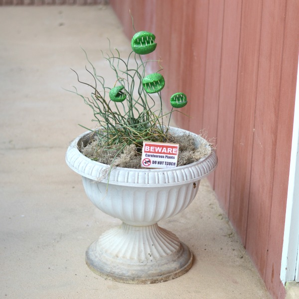 Halloween DIY - Carnivorous Plants | These creepy plants don't bite! ...too hard. With few supplies you can make these biting plants, perfect for Halloween!